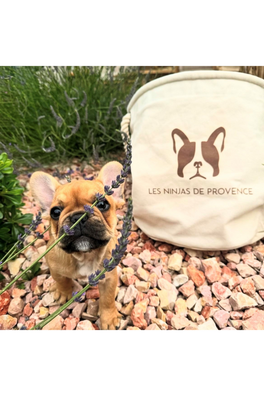 L'importance de créer des kits chiot/chaton avec une identité visuelle forte