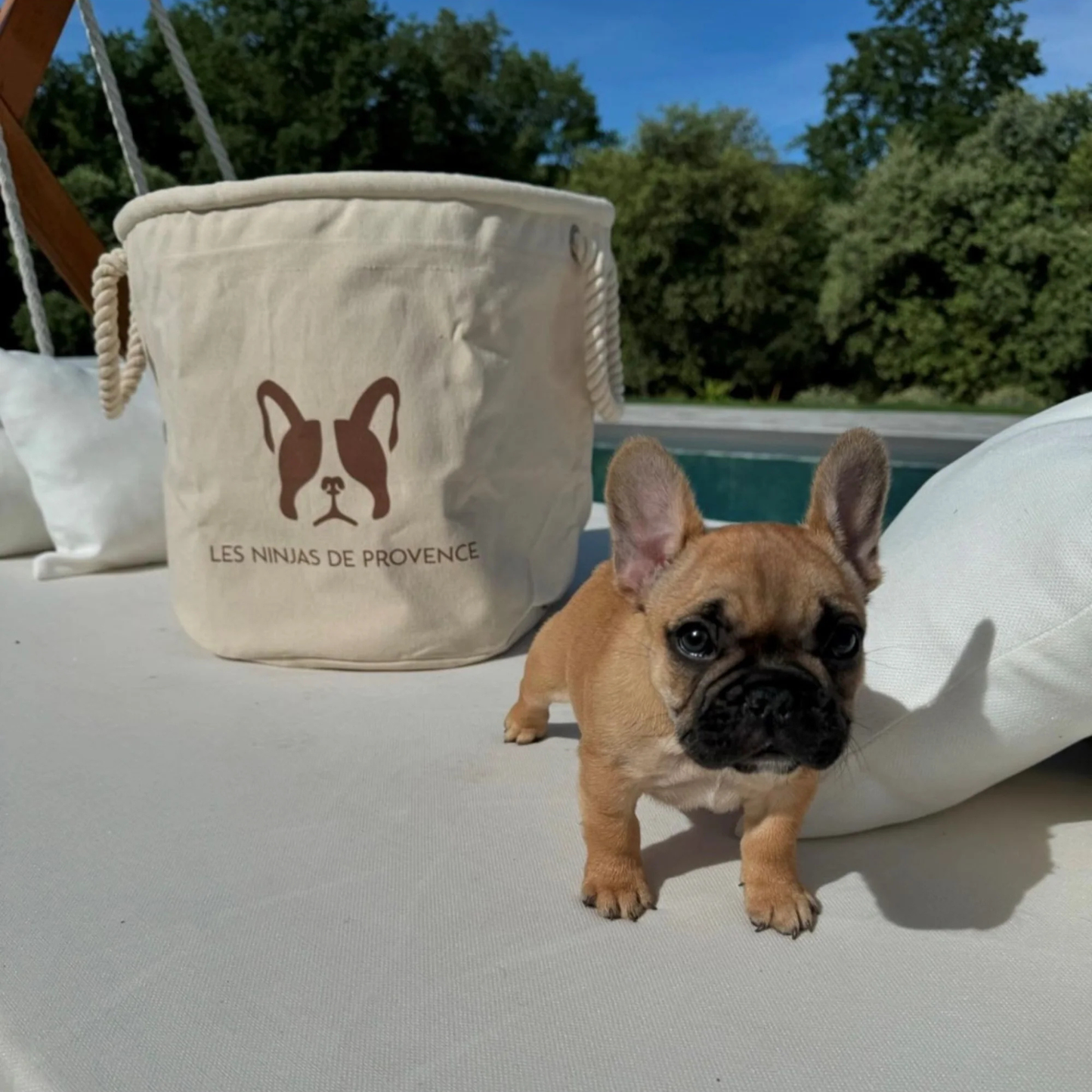 Personalized pouches with dog or cat breeding logo