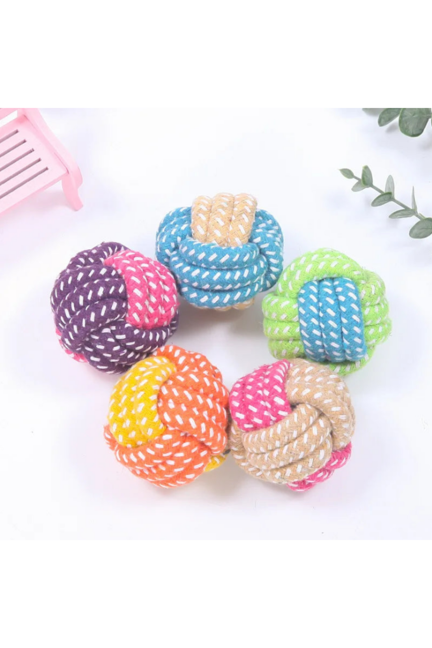 Jouet pour Chiots & Chatons