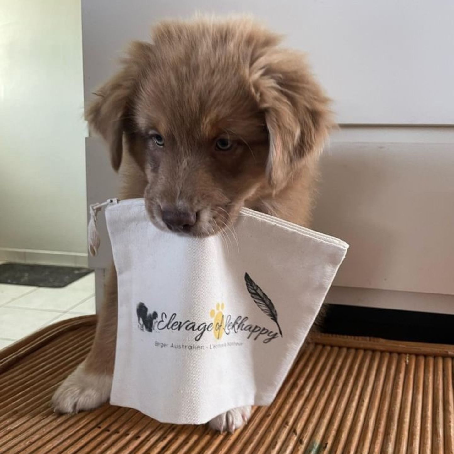 Personalized pouches with dog or cat breeding logo