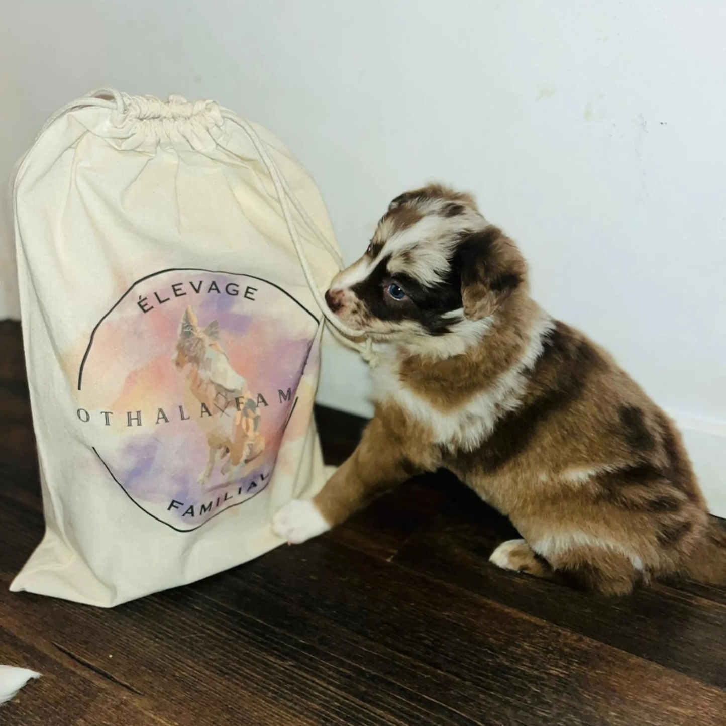 Personalized pouches with dog or cat breeding logo