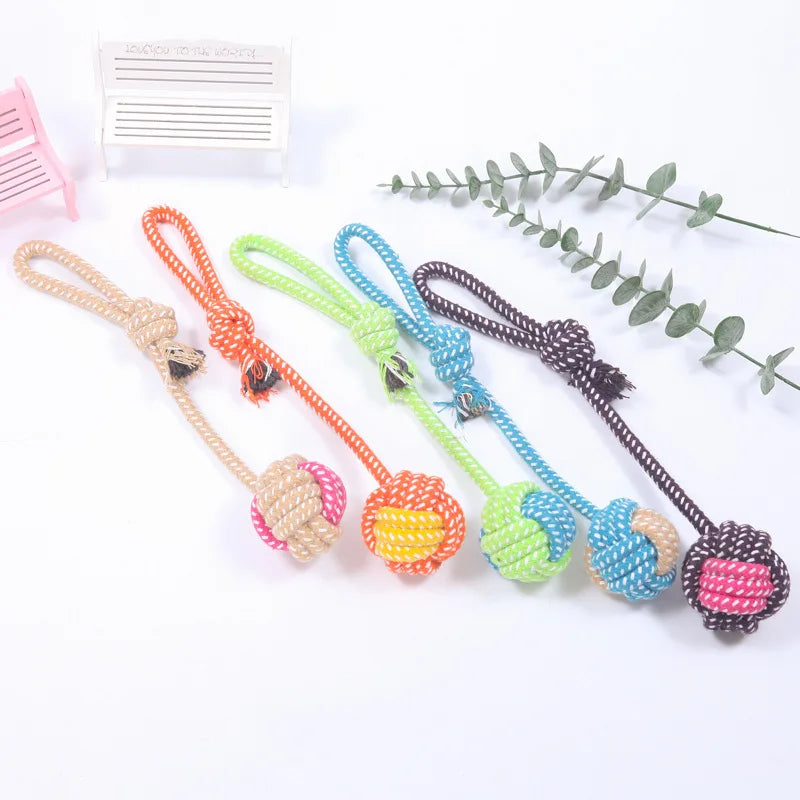 Jouet pour Chiots & Chatons