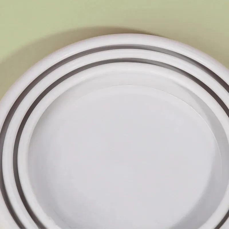 Cuillère et Couvercle Alimentaire pour Chien & Chat