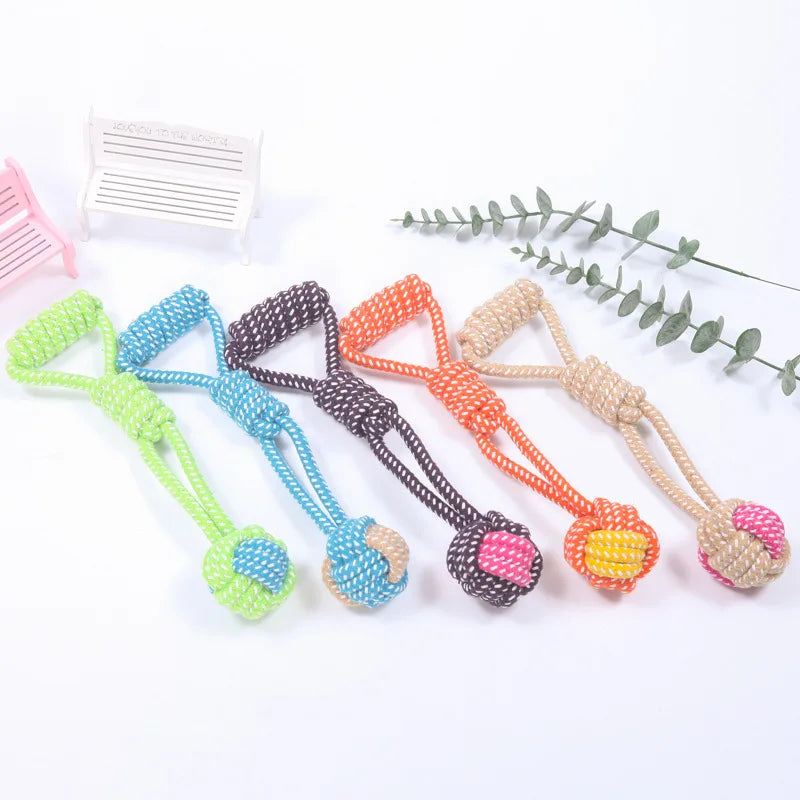Jouet pour Chiots & Chatons