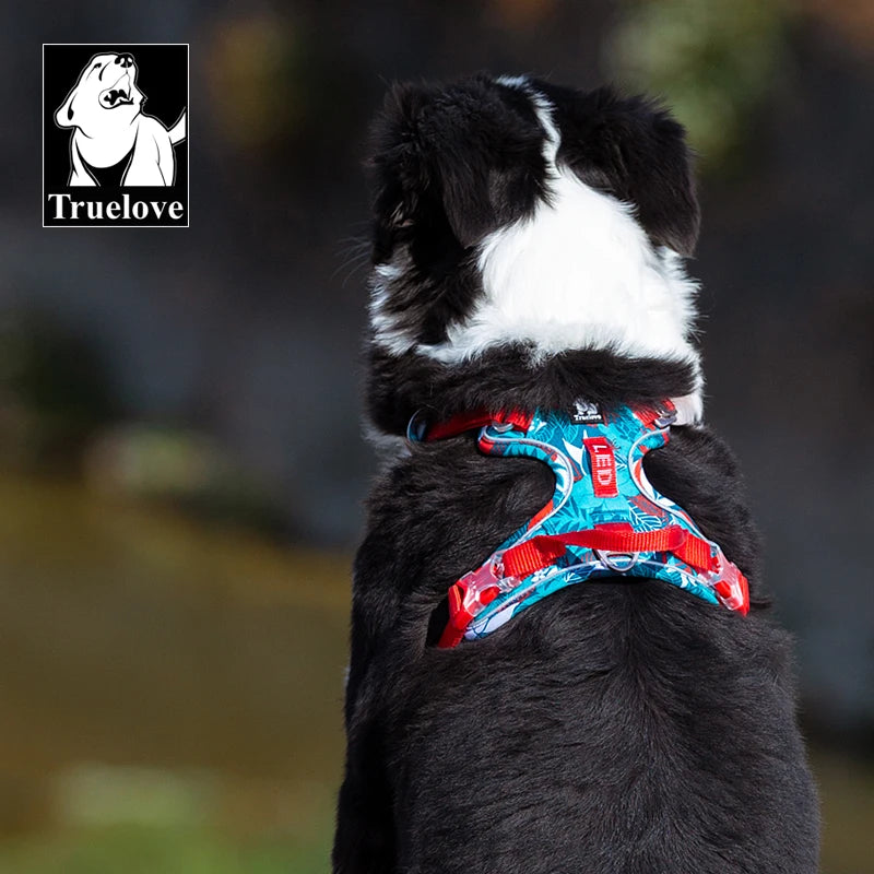 True Love Dog Harness