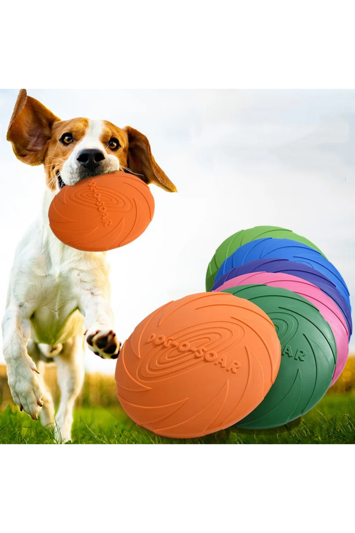 Kit Chiot *4 Articles*