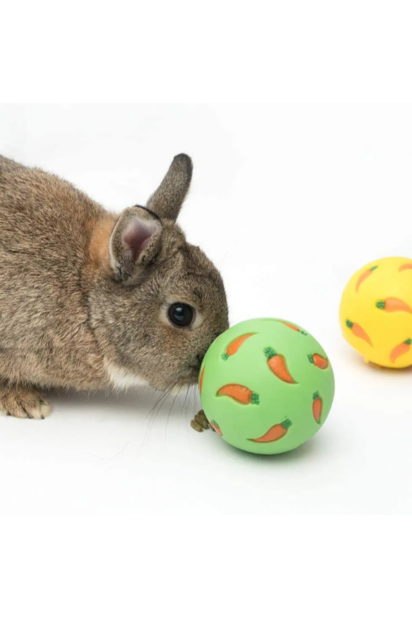 Balle interactive à friandise pour Nac