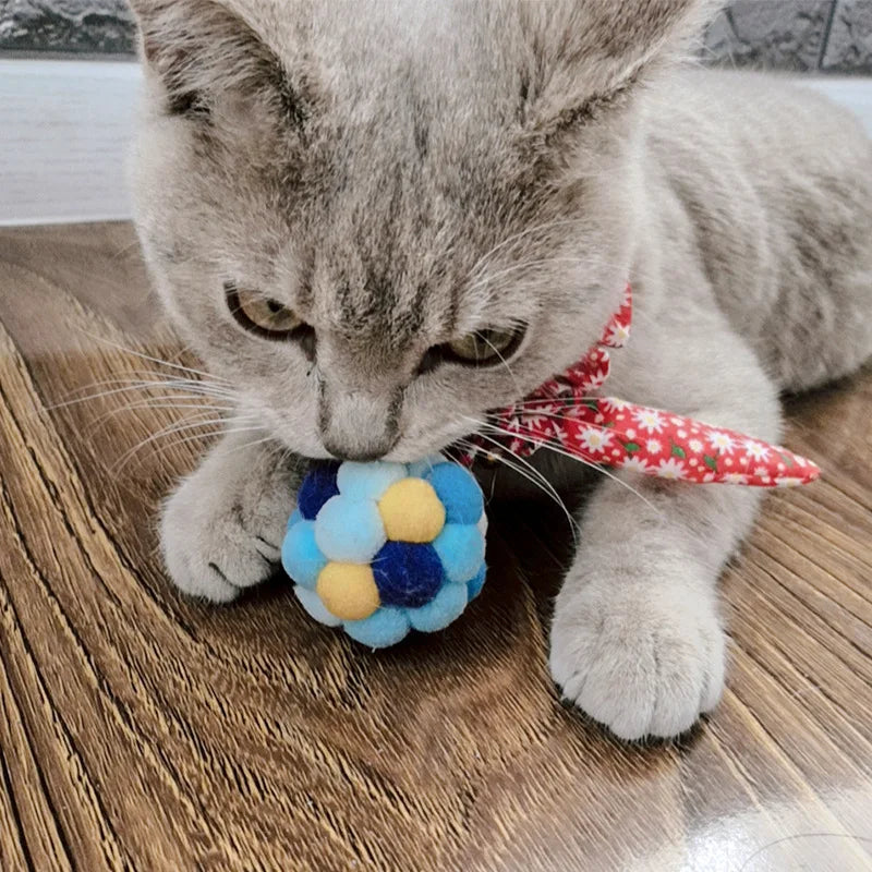Balle en peluche arc-en-ciel pour Chat
