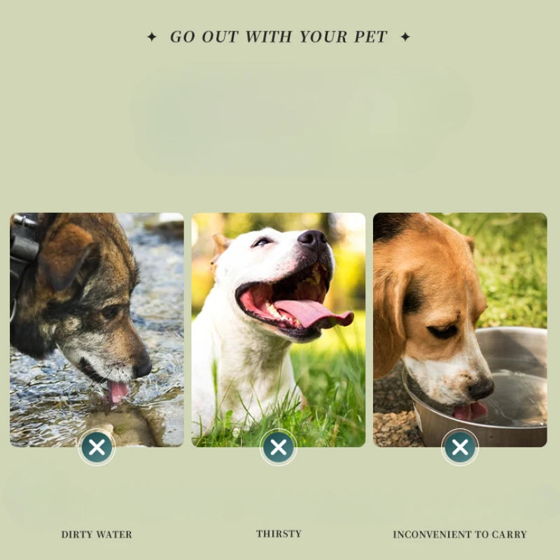 Gamelle silicone pliable pour Chien et Chat