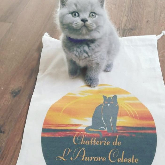 Bolsas personalizadas con logotipo de cría de perros o felinos