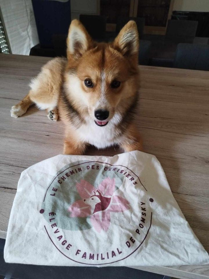 Bolsas personalizadas con logotipo de cría de perros o felinos