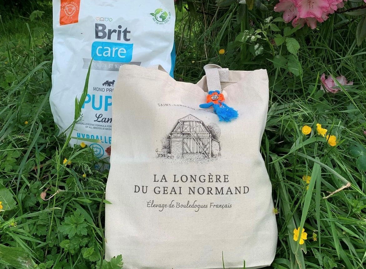 Bolsas personalizadas con logotipo de cría de perros o felinos