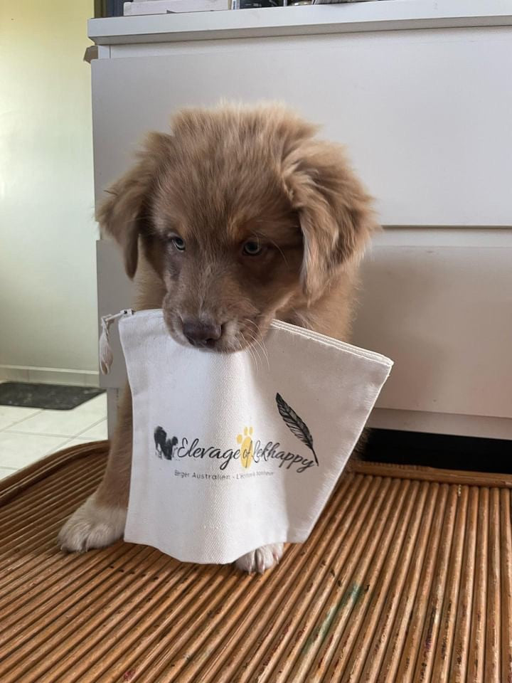 Bolsas personalizadas con logotipo de cría de perros o felinos