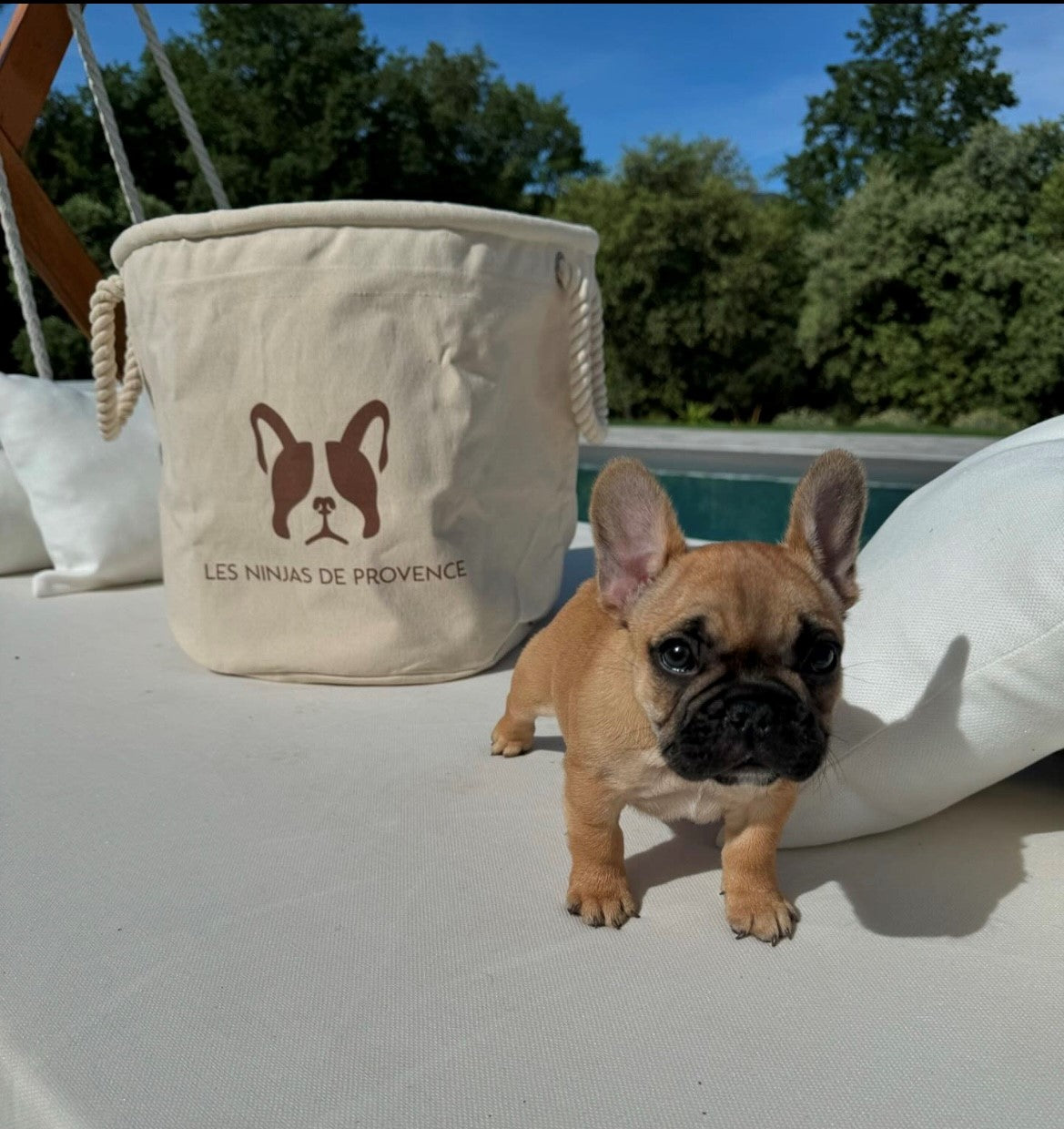 Paniers personnalisés Logo Élevage Canin, Félin & Nac