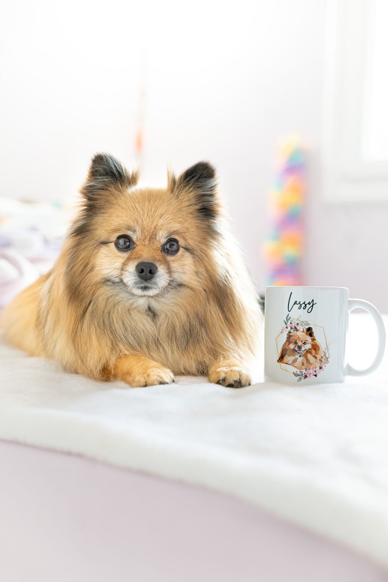 Lot 3 articles Portrait d'animal sur photo, cadeau commémoratif, deuil animalier