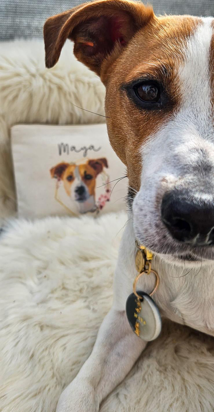 Pochette personnalisée Portrait d'animal sur photo cadeau commémoratif, deuil animalier en coton bio Made in France