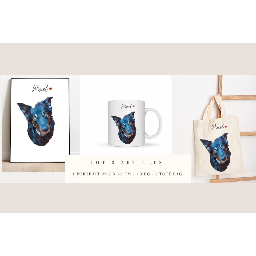 Lote 3 artículos Retrato de animal en foto, regalo conmemorativo, luto de animal