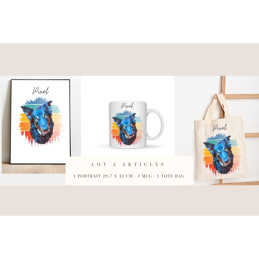 Lot 3 articles Portrait d'animal sur photo, cadeau commémoratif, deuil animalier