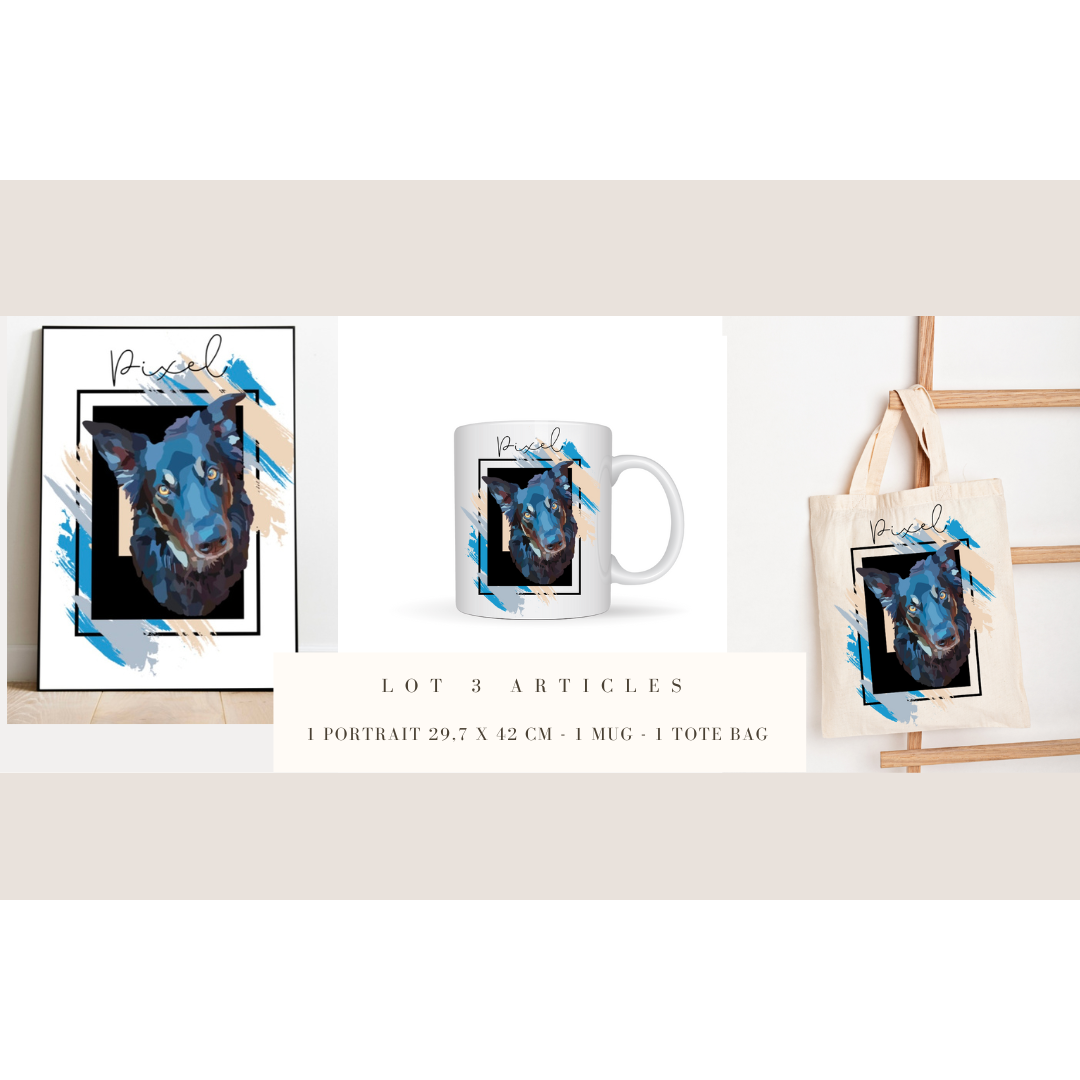 Lot 3 articles Portrait d'animal sur photo, cadeau commémoratif, deuil animalier