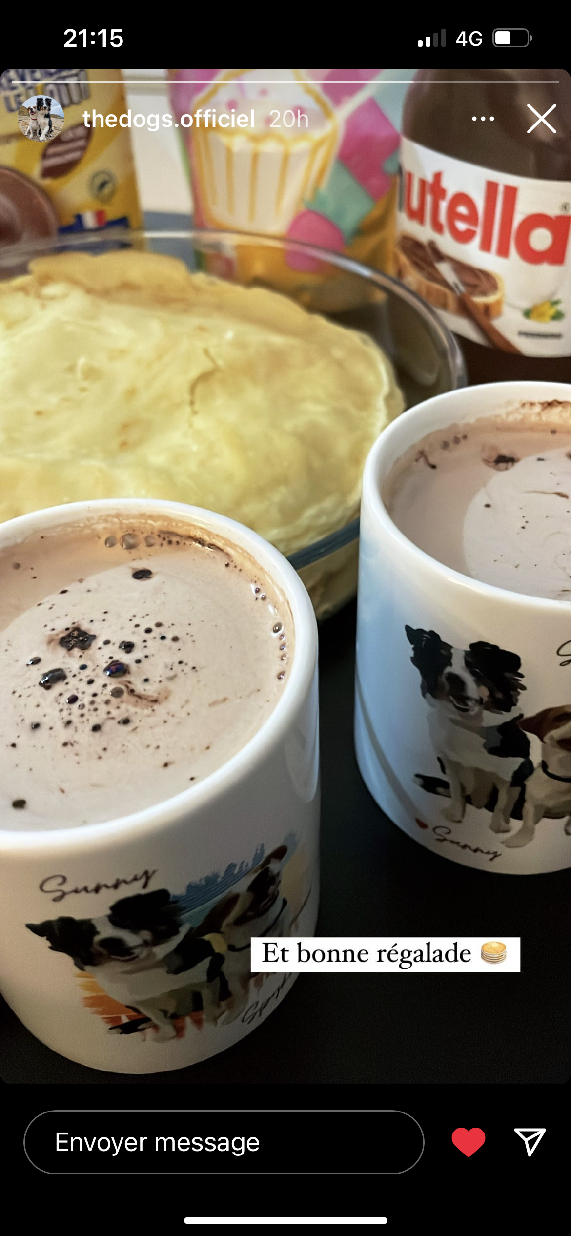 Mug Portrait d'animal sur photo, cadeau commémoratif, deuil animalier