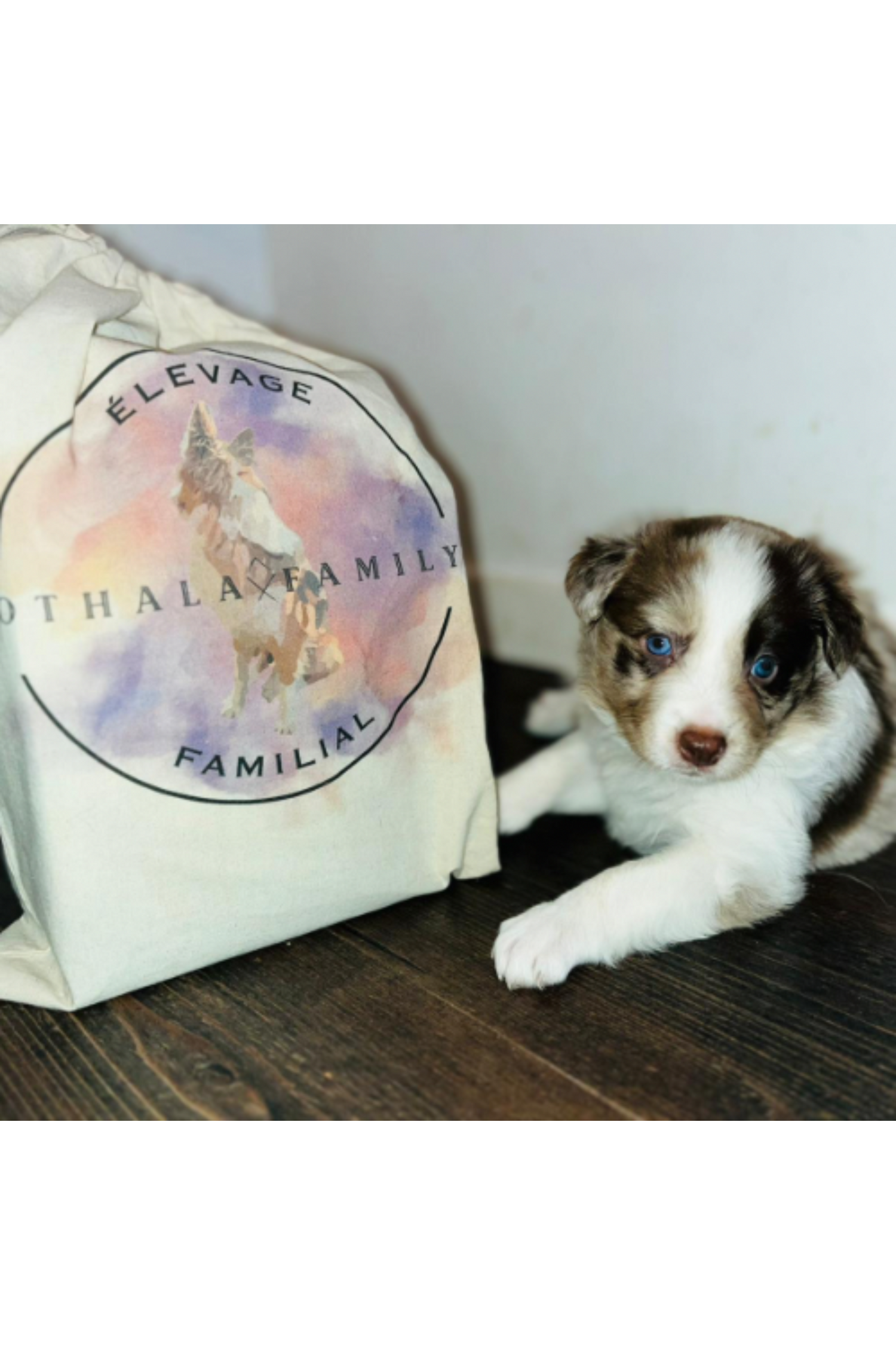 1.Kits Départ Chiots, Chatons & Nac