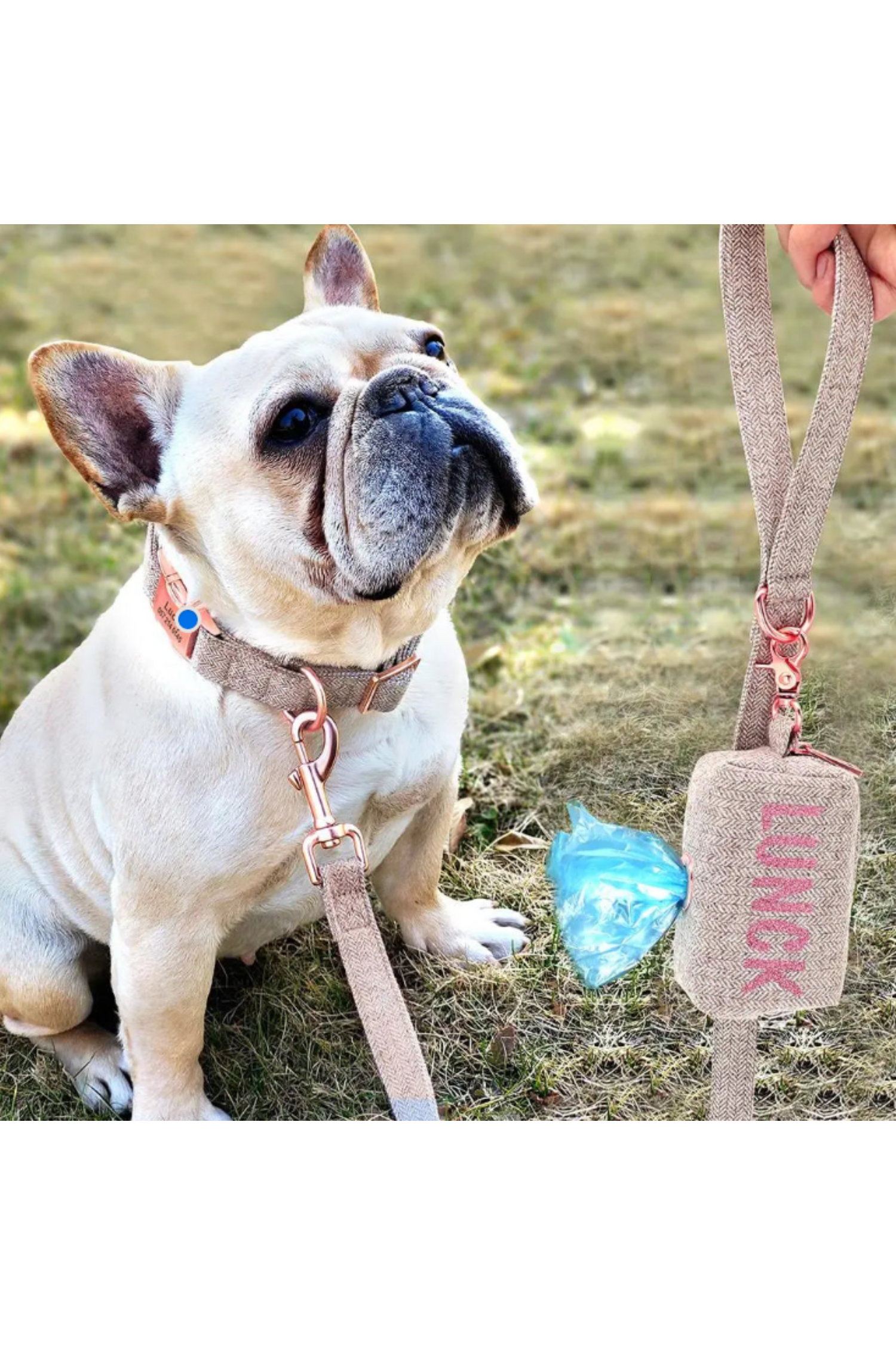 2.Boutique Accessoires Kits Chiots, Chatons & Nac