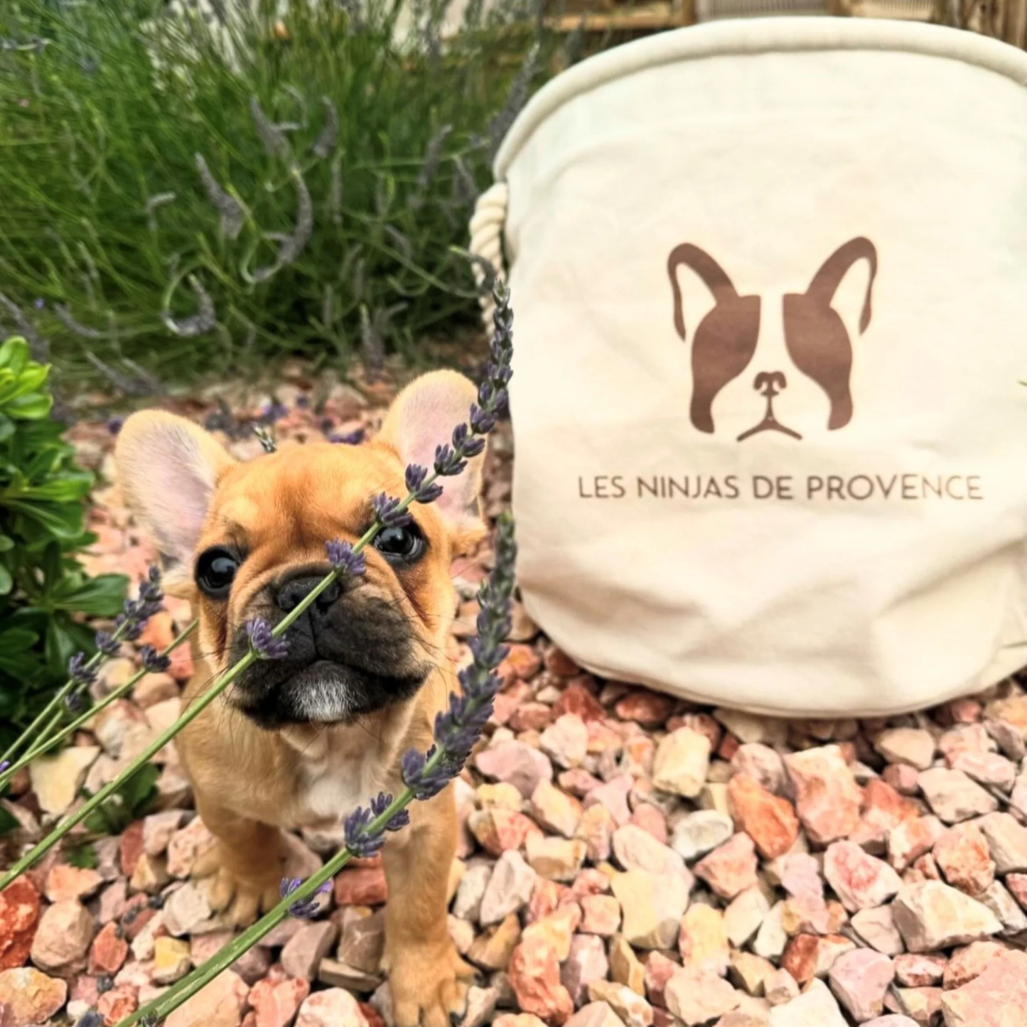 Personalized pouches with dog or cat breeding logo 