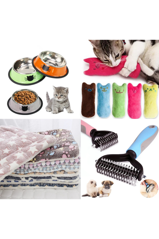 Kit Chaton *4 Articles*