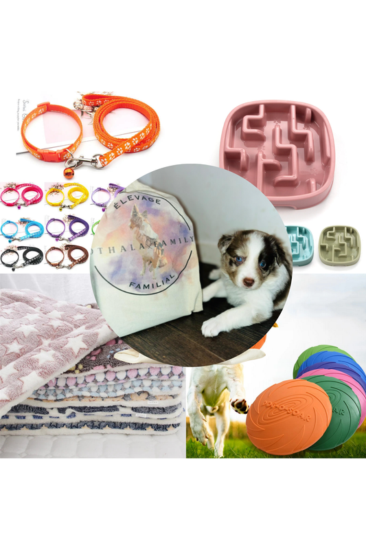 Bolsas personalizadas con logotipo de cría de perros o felinos 