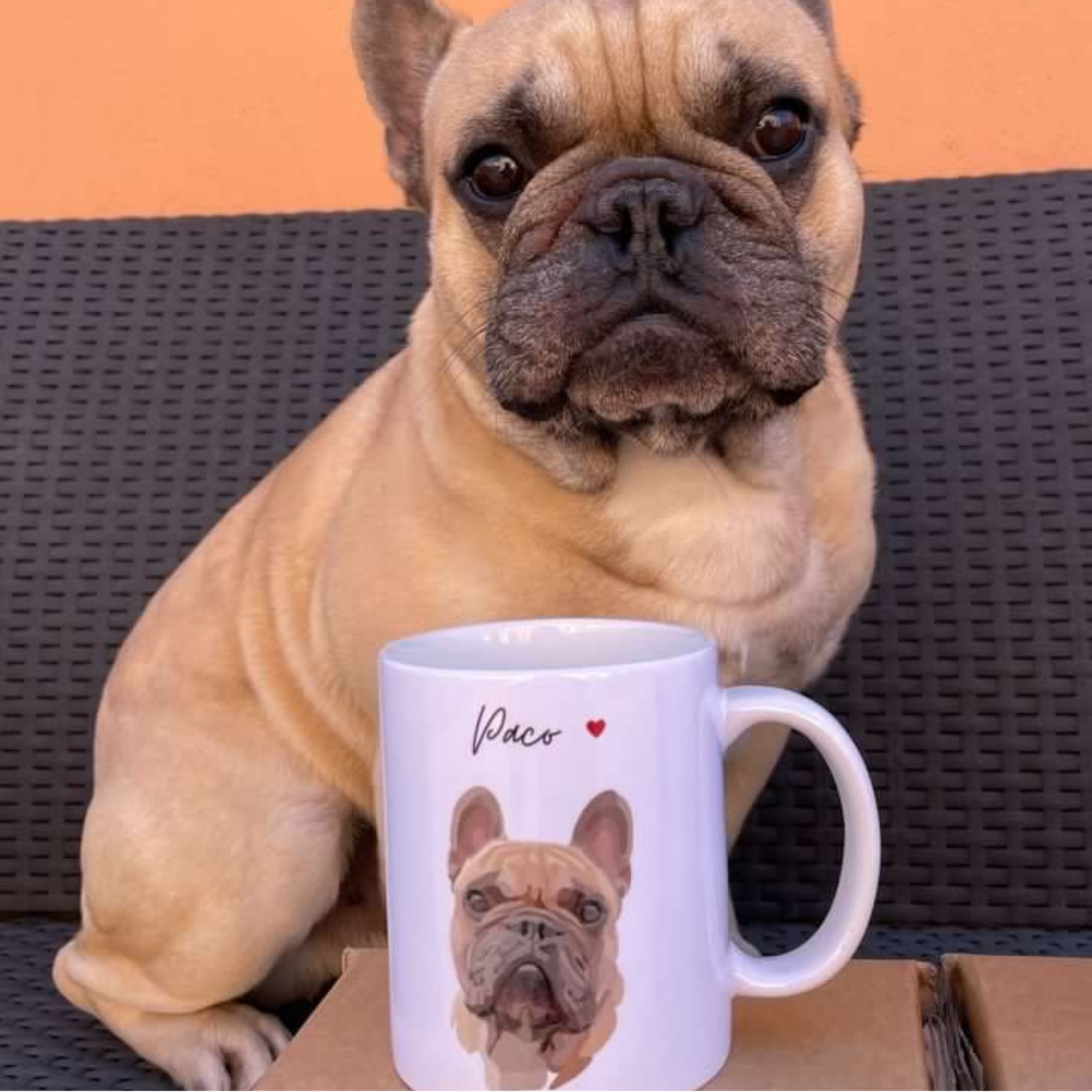 Mug Portrait d’animal personnalisé – cadeau commémoratif & deuil animalier