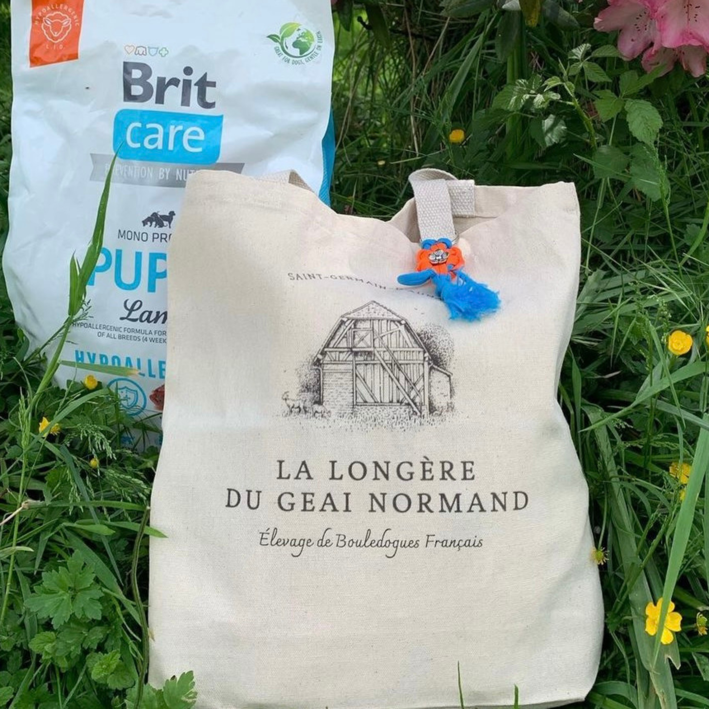 Personalized pouches with dog or cat breeding logo 