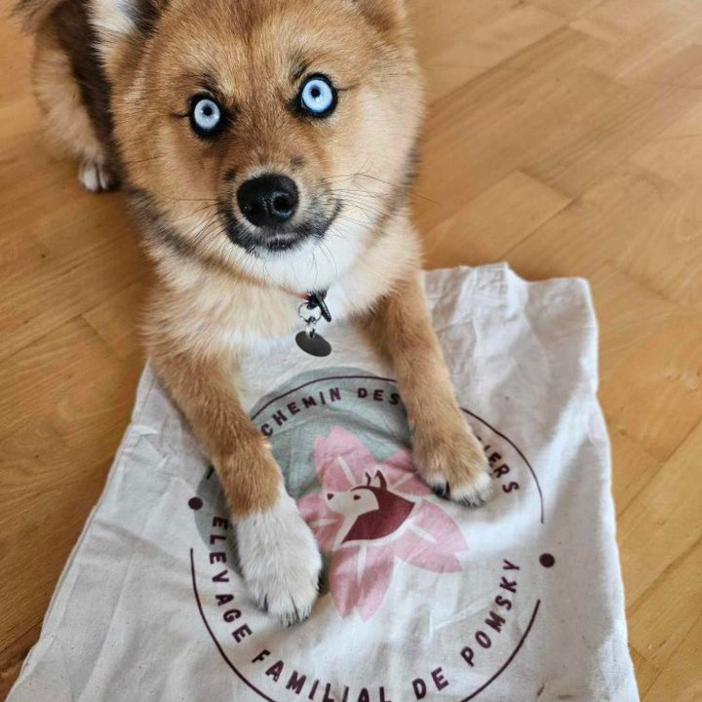 Personalized pouches with dog or cat breeding logo 