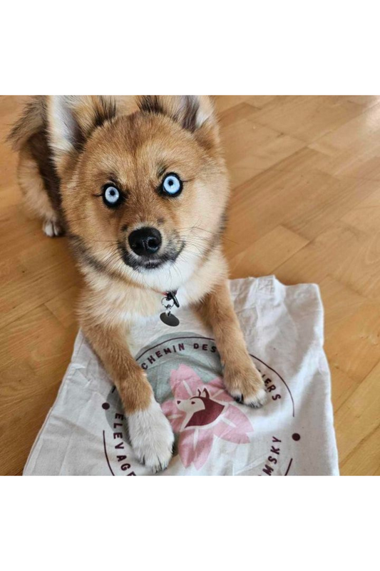 Bolsas personalizadas con logotipo de cría de perros o felinos 