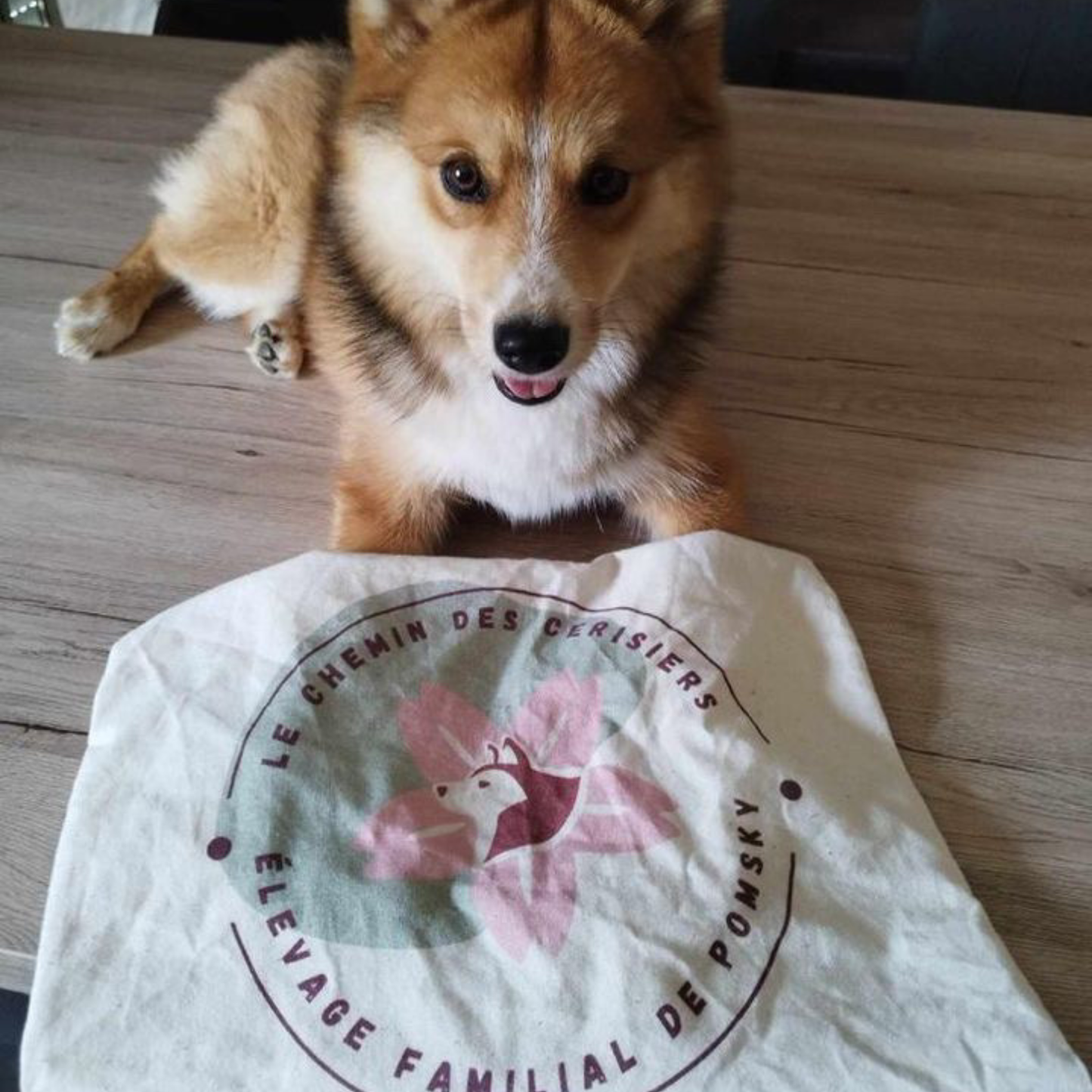 Personalized pouches with dog or cat breeding logo 