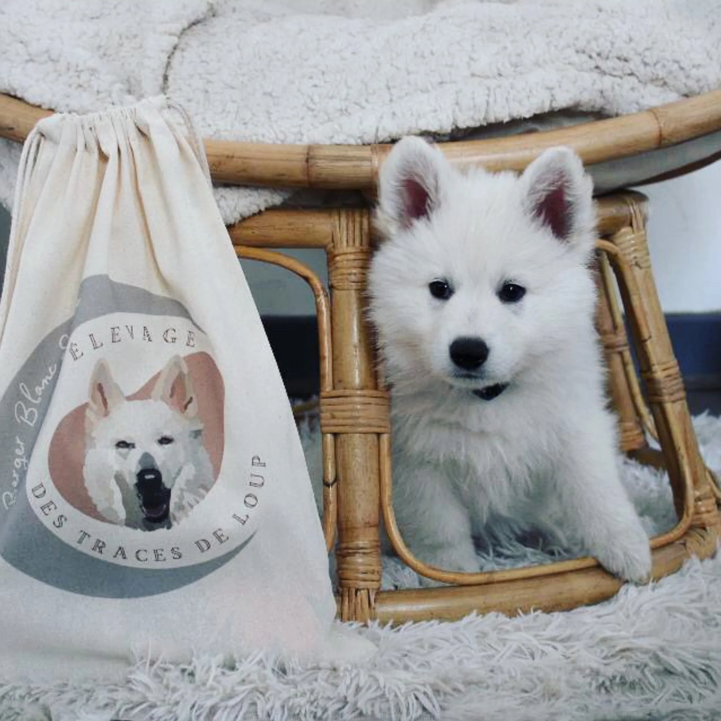 Personalized pouches with dog or cat breeding logo 