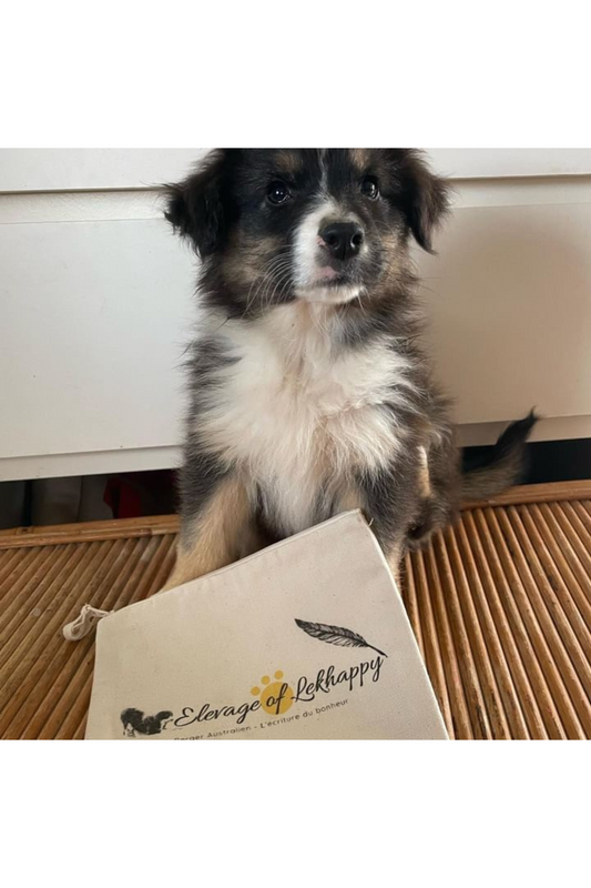 Bolsas personalizadas con logotipo de cría de perros o felinos 