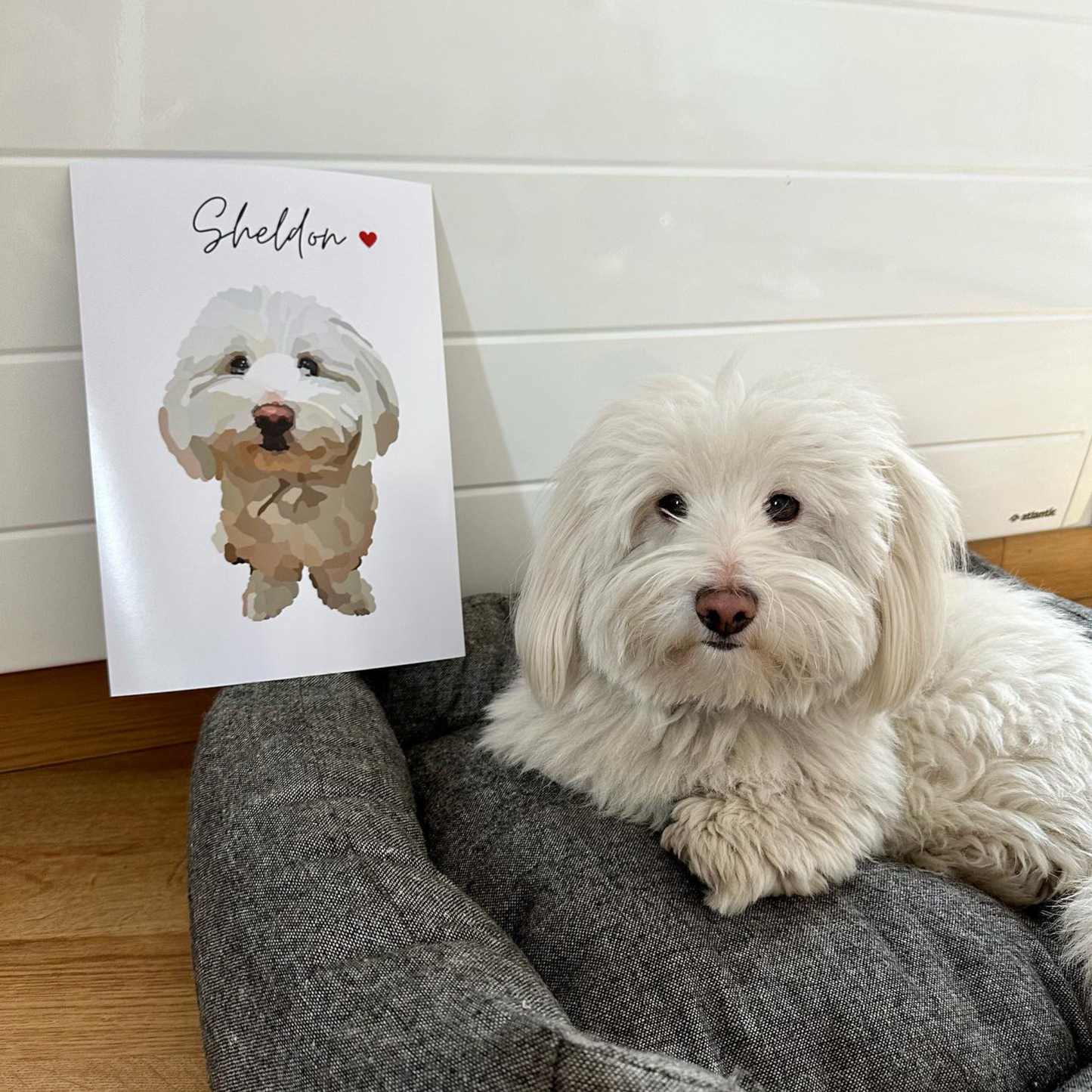 Affiche personnalisée – portrait d’animal sur photo, cadeau commémoratif & deuil animalier