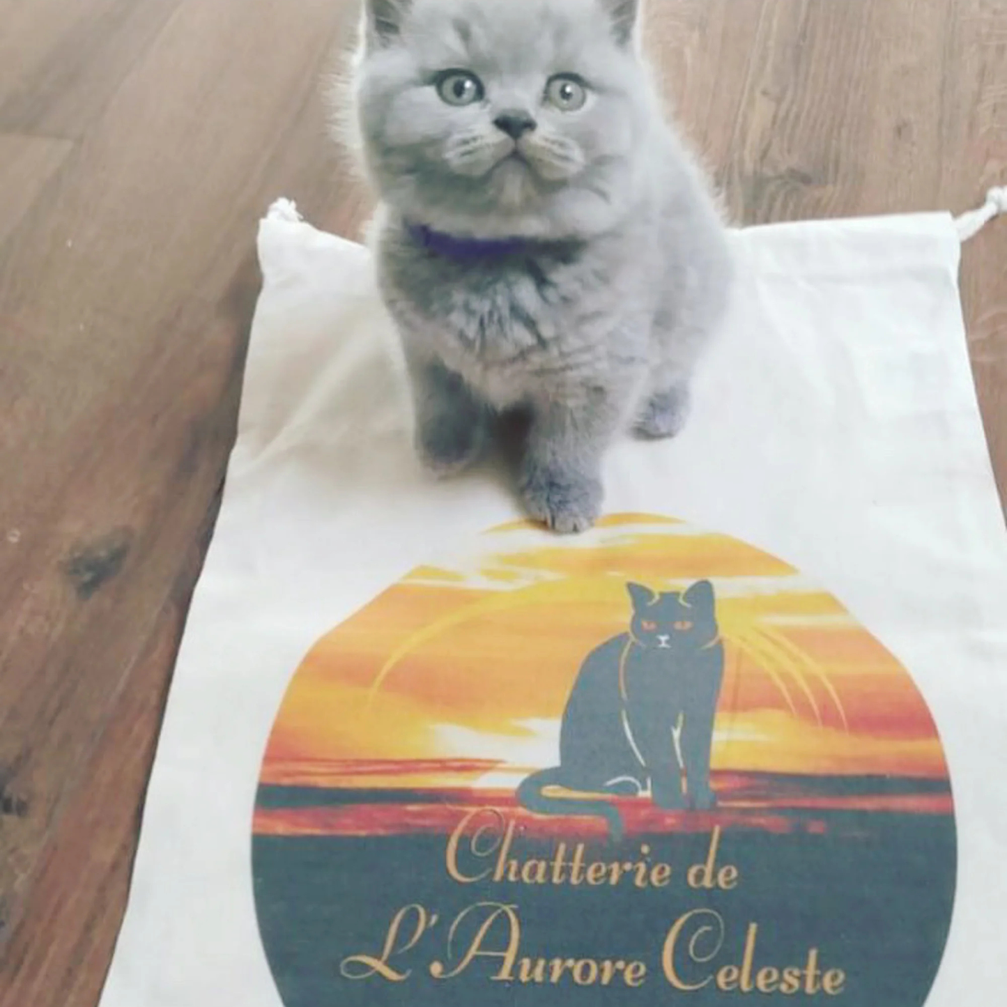 Personalized pouches with dog or cat breeding logo 