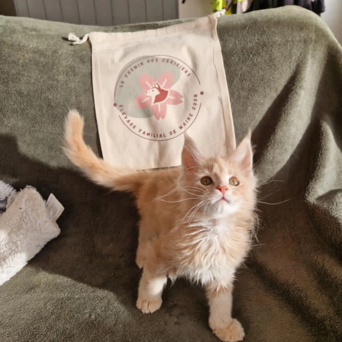 Personalized pouches with dog or cat breeding logo 