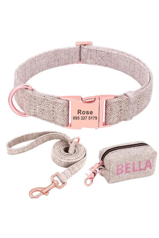 Juego de correa y collar para cachorro y perro