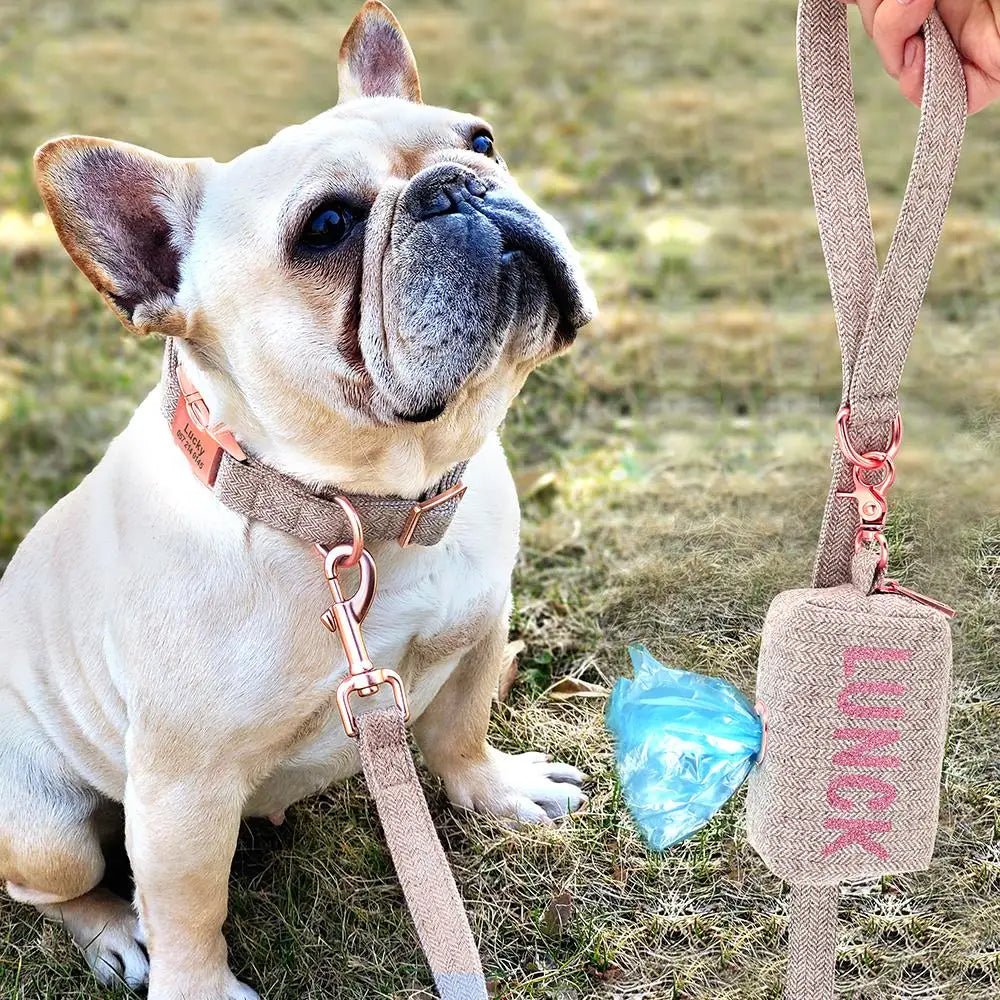 Juego de correa y collar para cachorro y perro