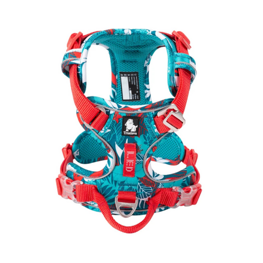 True Love Dog Harness