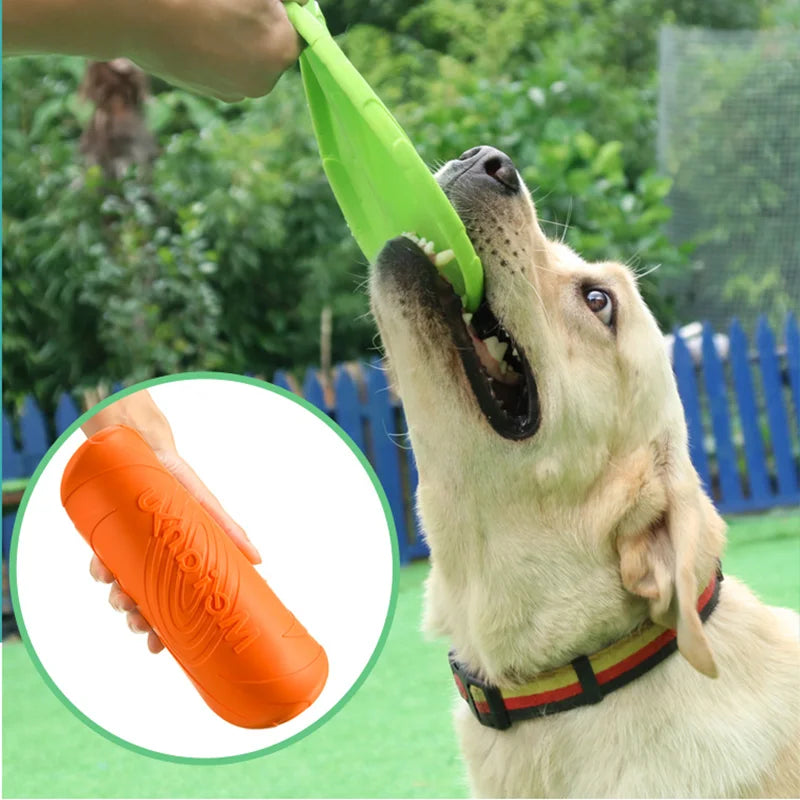 Frisbee en silicone pour chien
