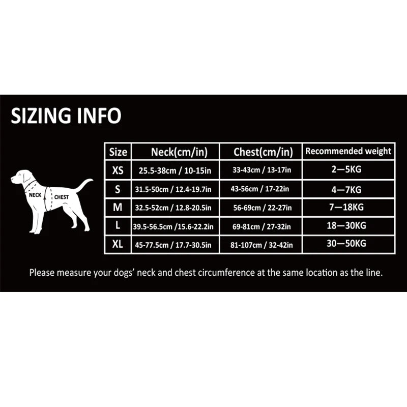 True Love Dog Harness