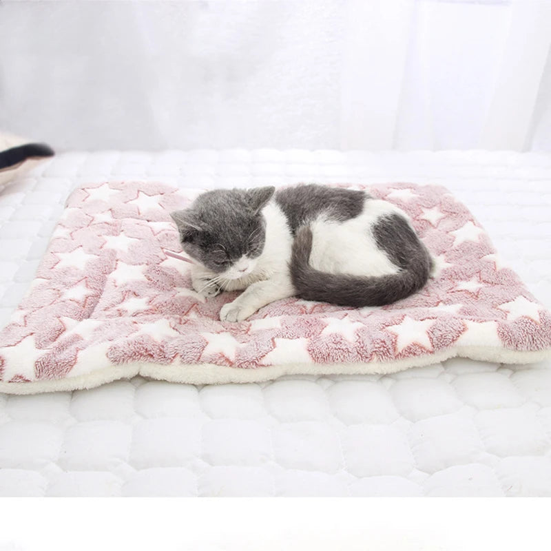 Comfortable Puppy &amp; Kitten Bed