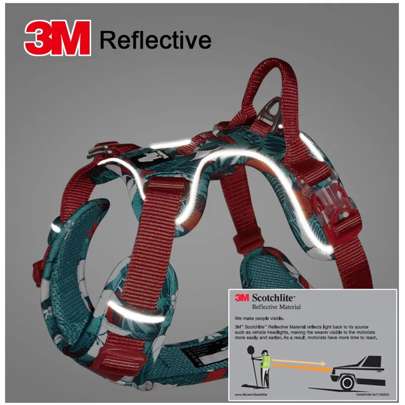True Love Dog Harness