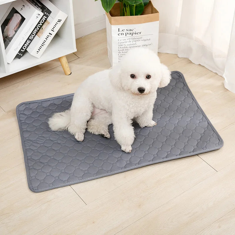 Manta absorbente para cachorros y gatitos 