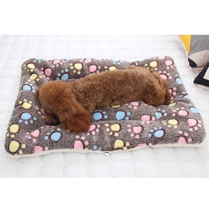 Comfortable Puppy &amp; Kitten Bed