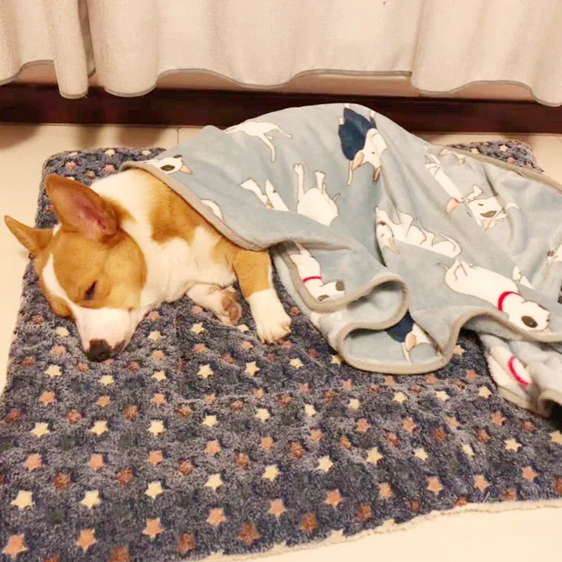 Comfortable Puppy &amp; Kitten Bed