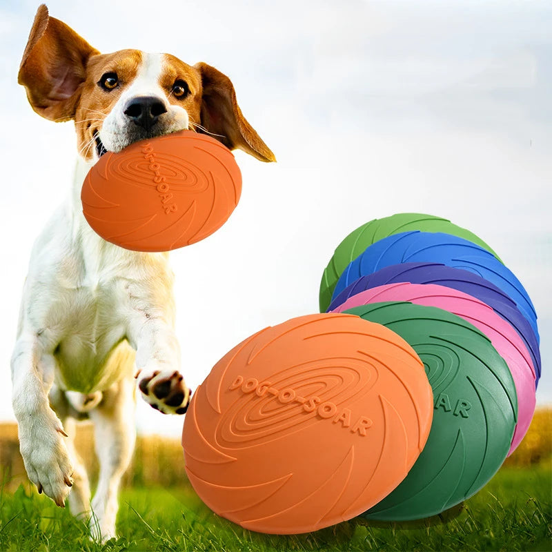 Frisbee en silicone pour chien